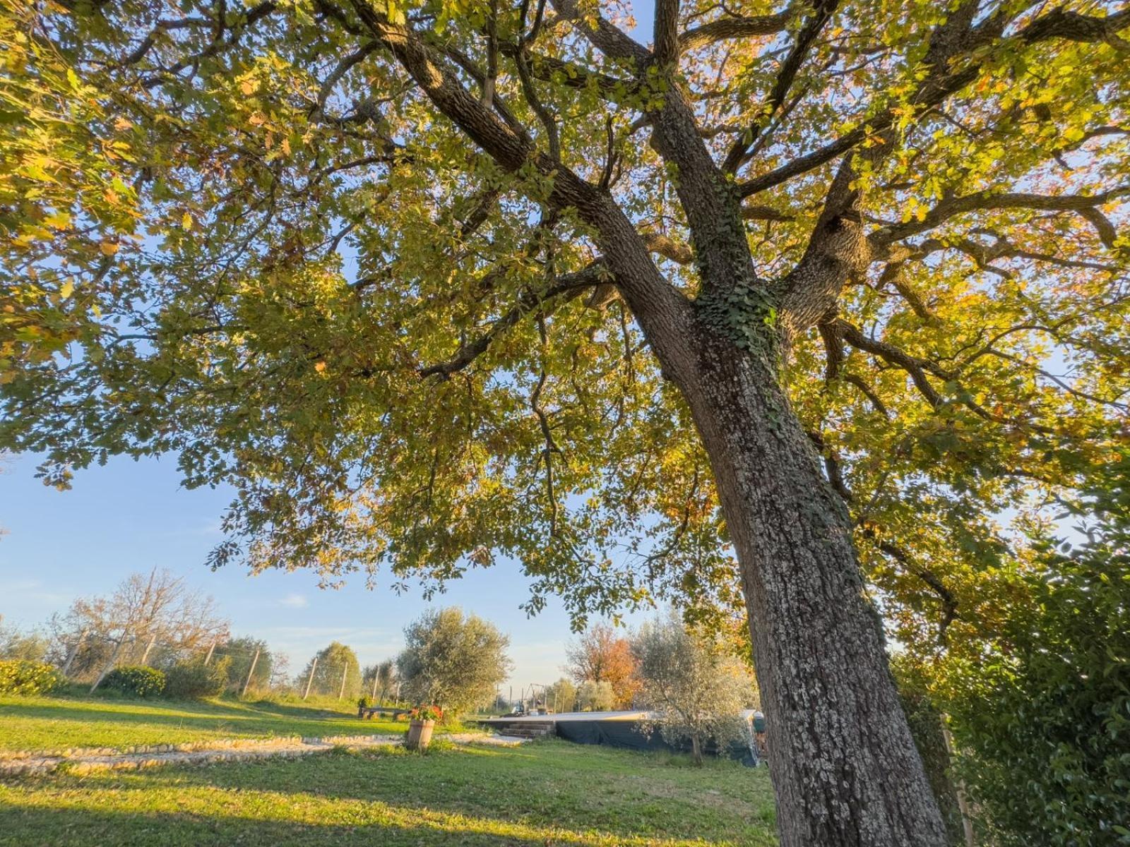 Casale Le Brecce B&B Otricoli Luaran gambar